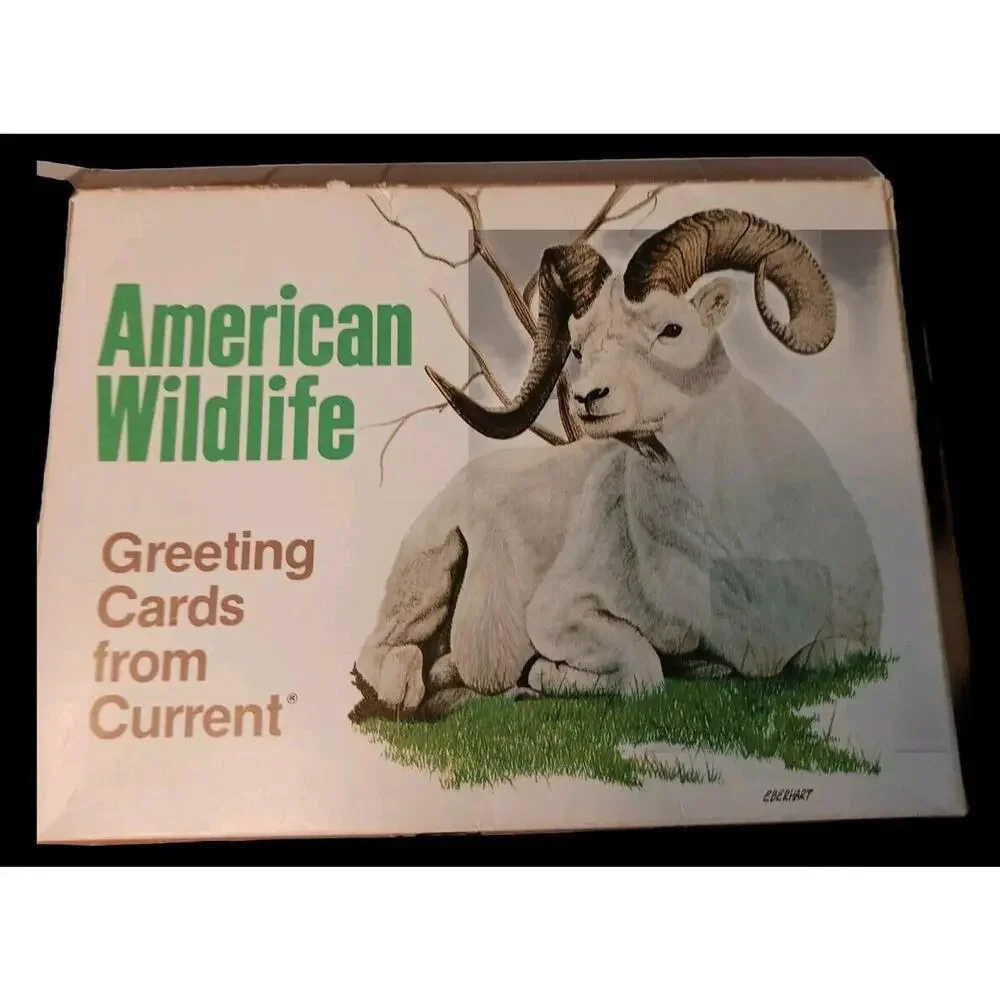 American Wildlife Greeting 1980 american